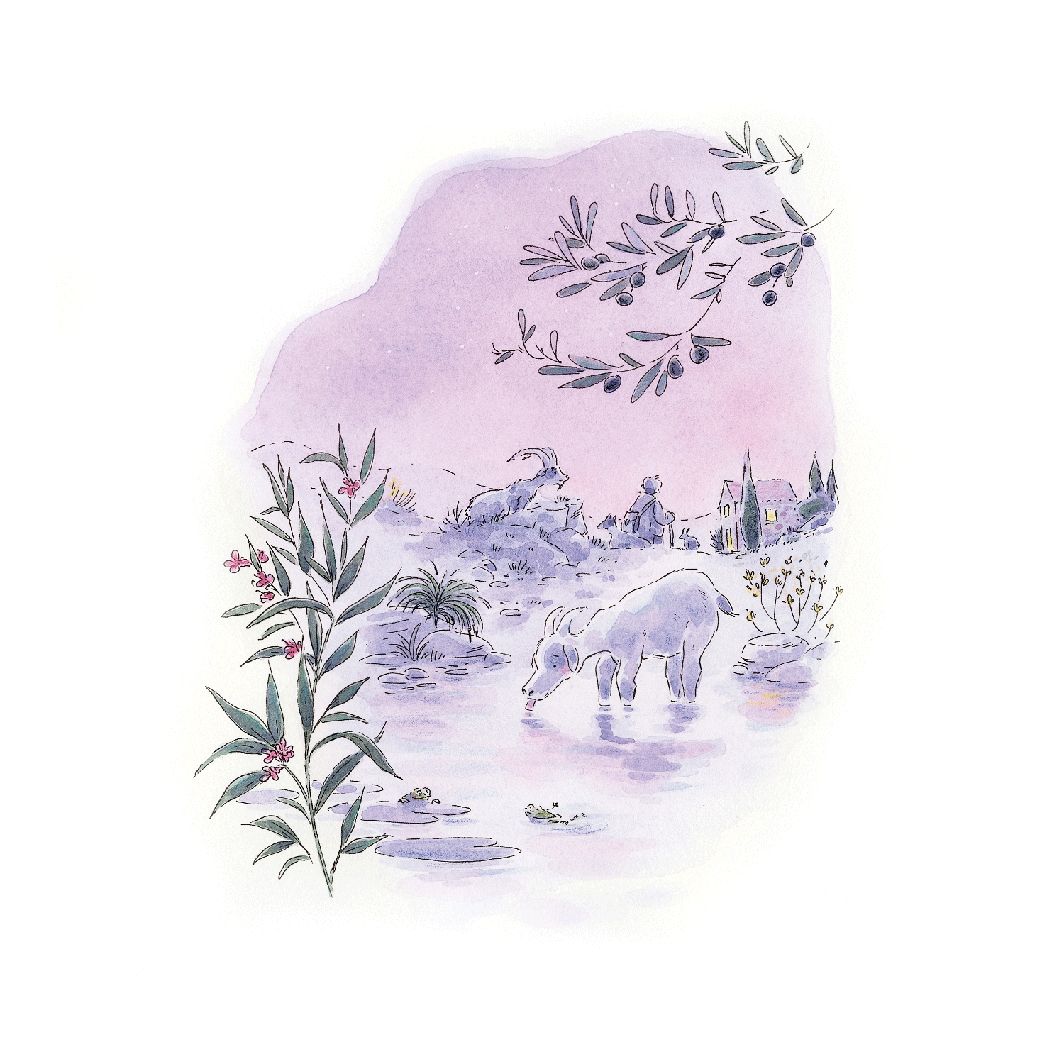 Retour au bercail – Tirage d’art signé – Barbara Brun x Marcel Pagnol