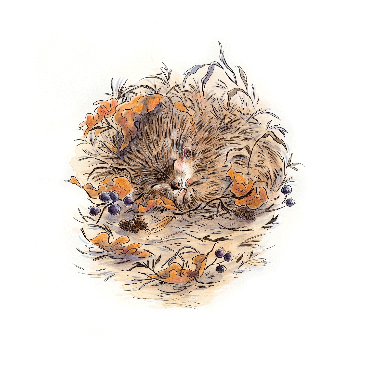 L’hiver – Tirage d’art signé – Barbara Brun x Marcel Pagnol